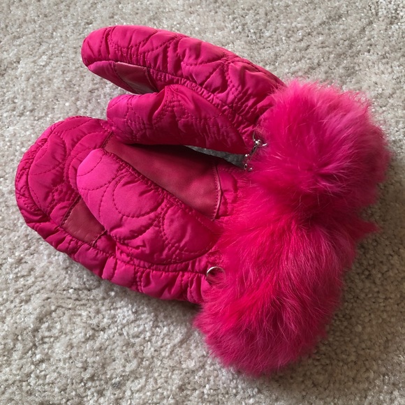 Coach Backpack with Gloves - Picture 2 of 13